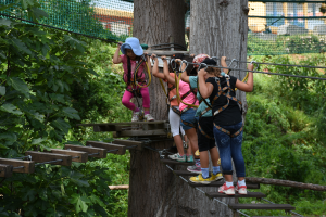 FOREST AVENTURE