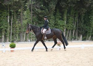 CENTRE EQUESTRE ECURIE JALABERT