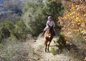 CENTRE EQUESTRE ECURIE JALABERT