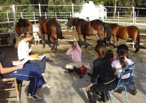 CENTRE EQUESTRE ECURIE JALABERT