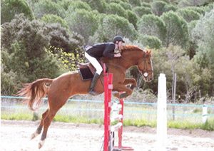 CENTRE EQUESTRE ECURIE JALABERT