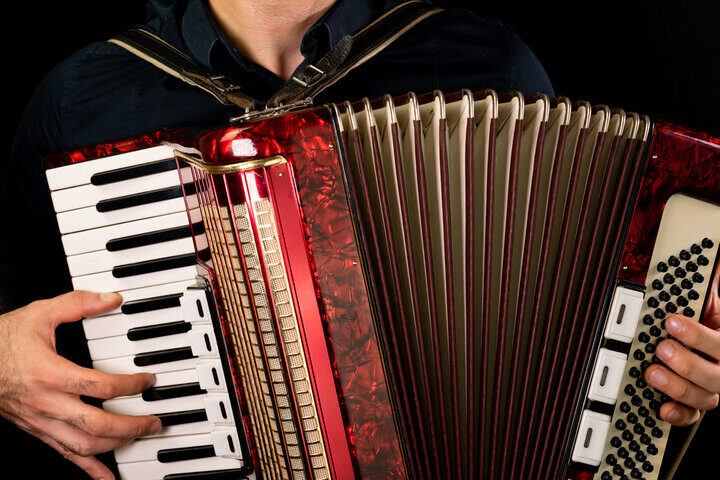 ANIMATION MUSICALE 