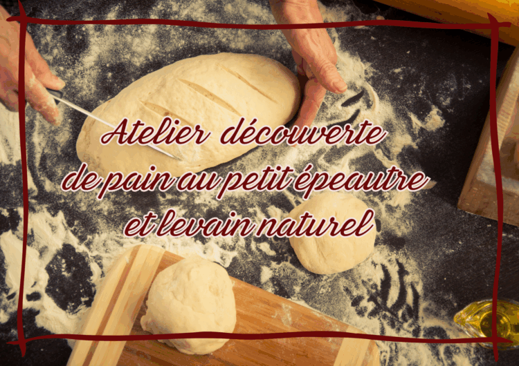 Atelier découverte de pain au petit épeautre et levain naturel
