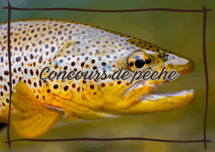 Concours de pêche