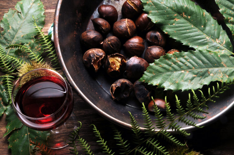 CASTAGNADE ET VIN NOUVEAU