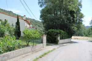 LES MICOCOULIERS