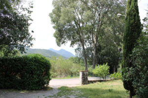 LE CERISIER