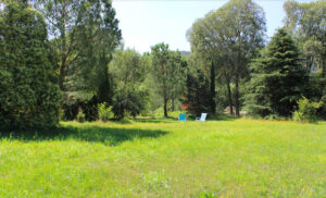 LE CERISIER