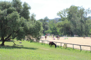 LE CERISIER