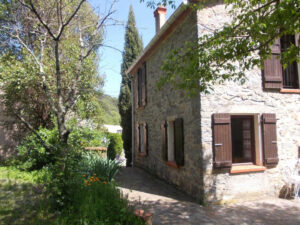 LE CERISIER