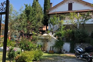 LA SALA MIMOSA