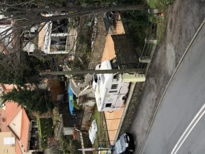 LA SALA CAMELIA