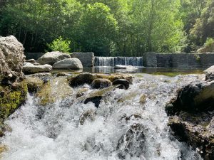 LA PISCINE DU MONDONY