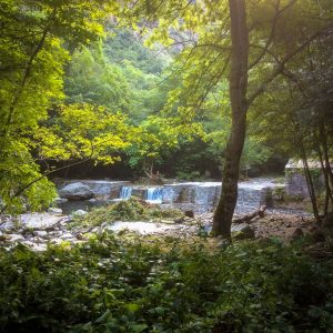 LA PISCINE DU MONDONY