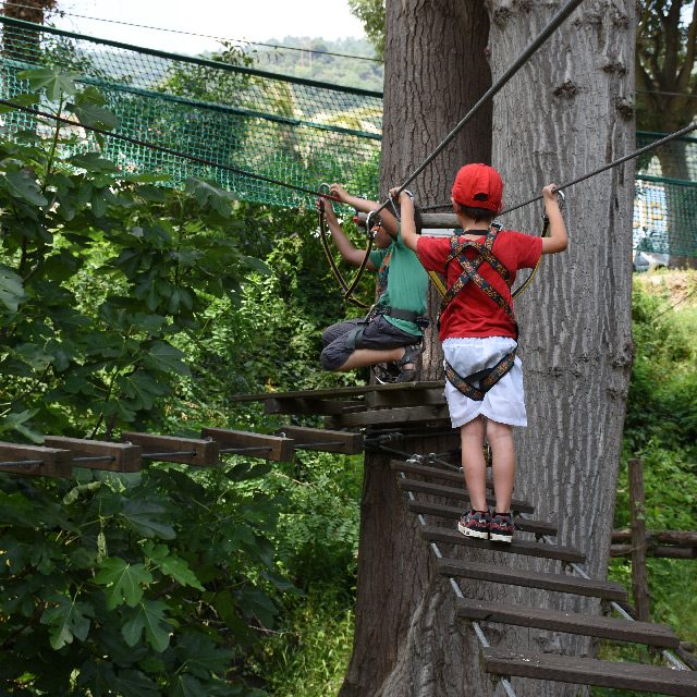 Parc accrobranche forest aventure