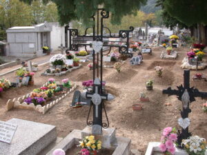 LES NECROPOLES AMELIENNES