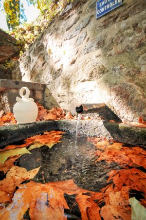 FONTAINE PAGES