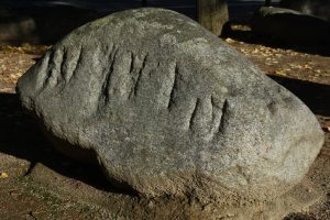 BLOCS DE GNEISS
