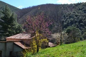 LE TERME AU MAS PAGRIS